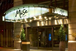 THE MUSE NEW YORK
