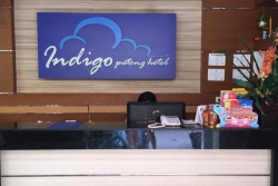 INDIGO PATONG