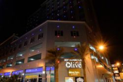 BEST WESTERN PLUS THE OLIVE